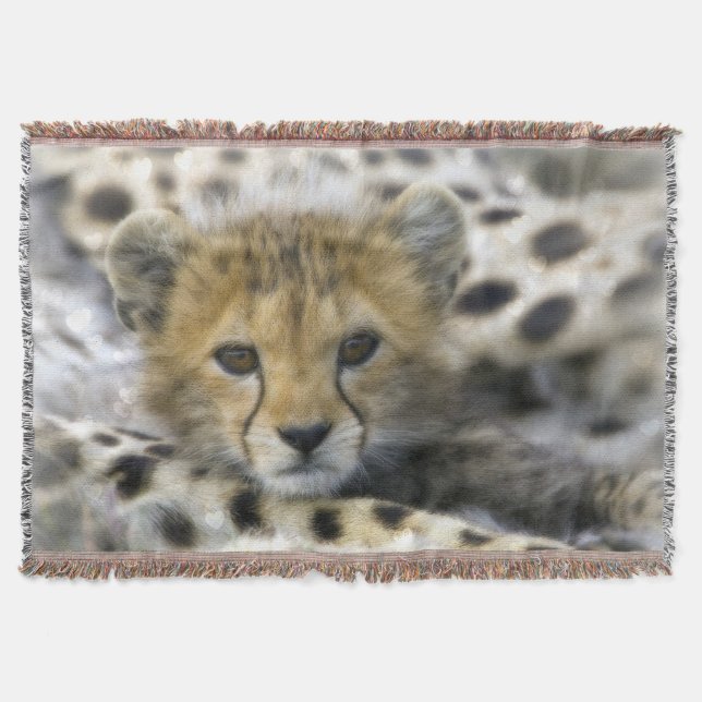 Throw Blanket/Cheetah Cub Blanket (Front)