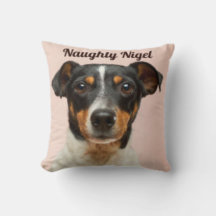 Throw cushion with your dogs name and photo.