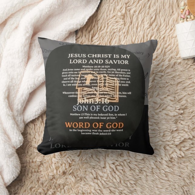 Throw Pillow (Blanket)