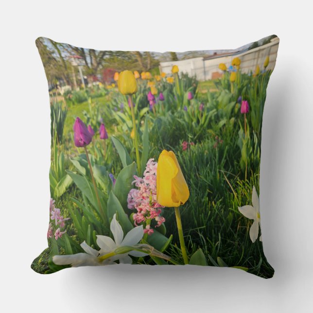Throw Pillow (Front)