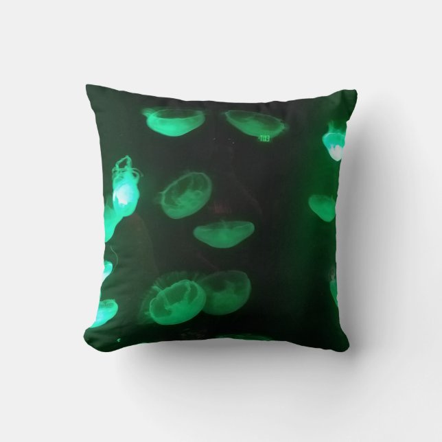 Throw Pillow (Front)