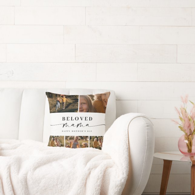 Throw Pillow (Couch)