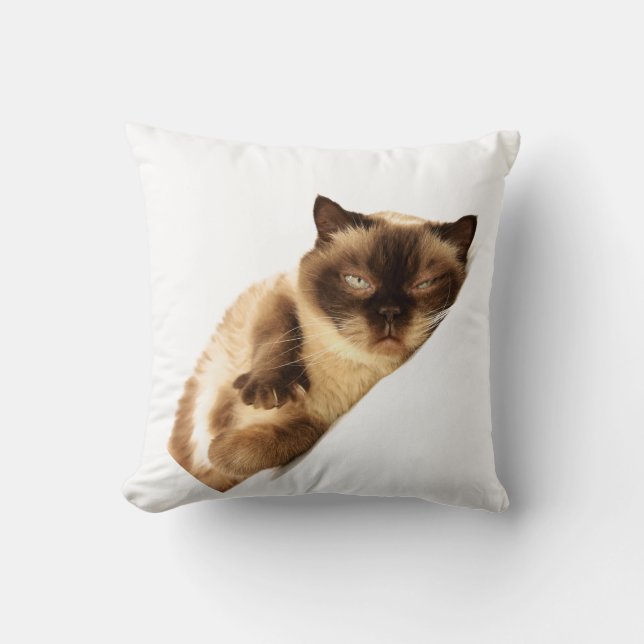 Throw Pillow 16" x 16" (Front)