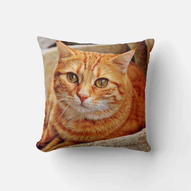 Throw Pillow 16" x 16" (Front)