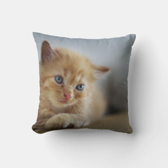 Throw Pillow 16" x 16" (Front)