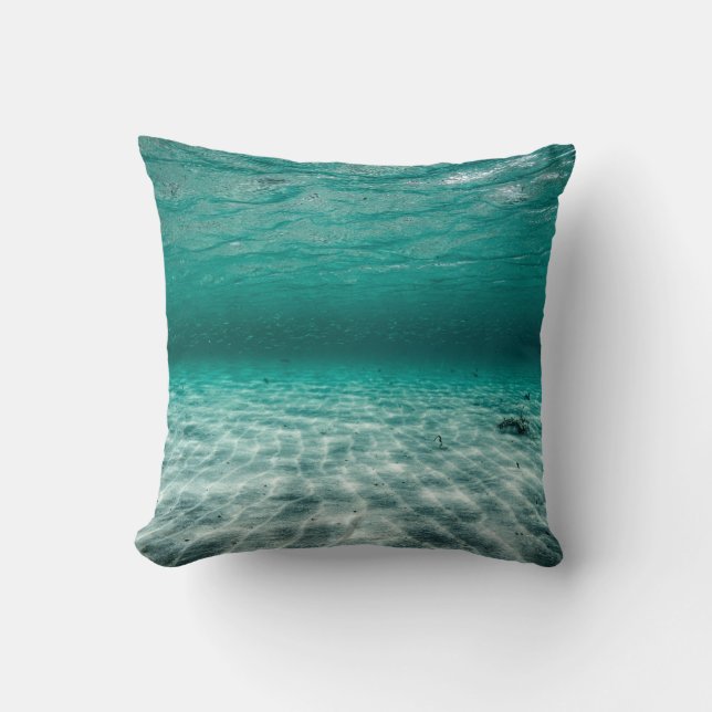 Throw Pillow 16" x 16" (Front)