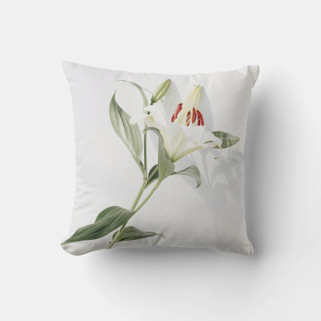 Throw Pillow 16" x 16" (Front)