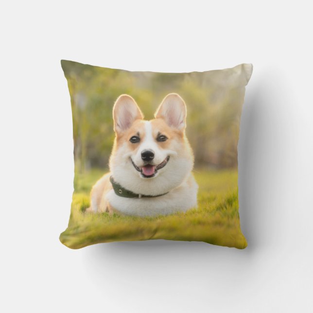 Throw Pillow 16" x 16" (Front)