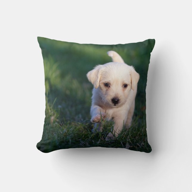 Throw Pillow 16" x 16" (Front)