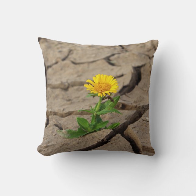 Throw Pillow 16" x 16" (Front)