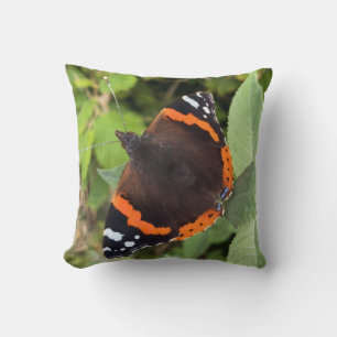 Throw Pillow Depicting A Red Admiral Butterfly