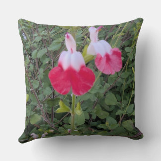 Throw Pillow-Floral series -Hot Lips salvia  Cushion