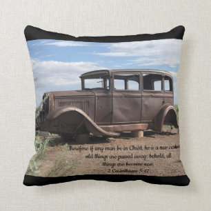 Throw Pillow for the man cave!