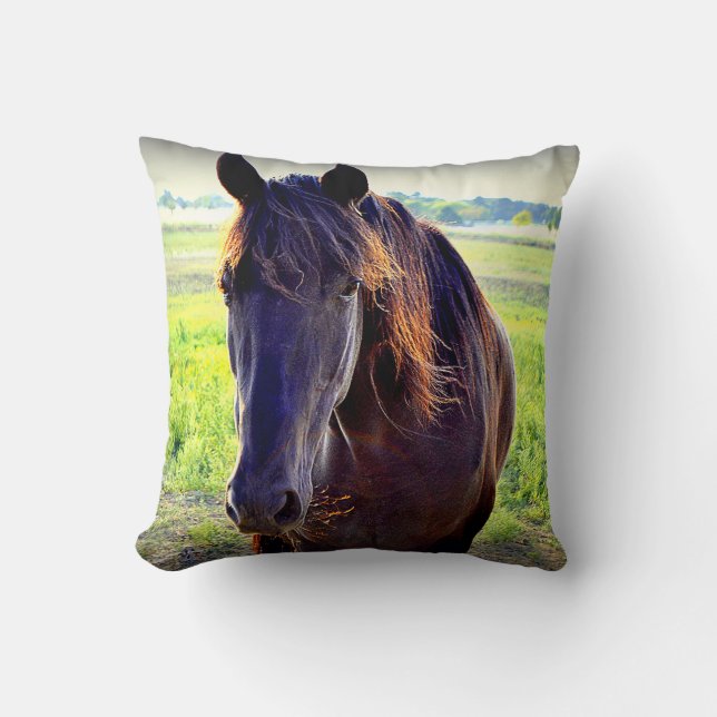 Throw Pillow with Gorgeous Tennessee Walking Horse (Front)