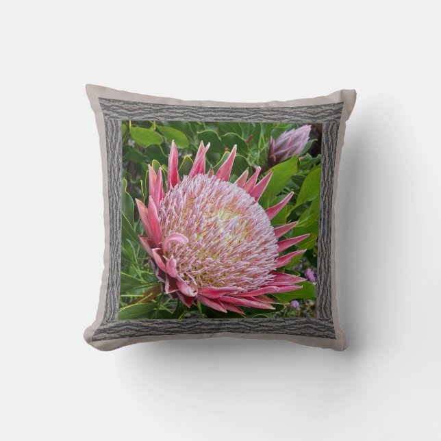 Throw Pillow with Stunning Pink Protea (Front)