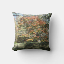 Throw pillows