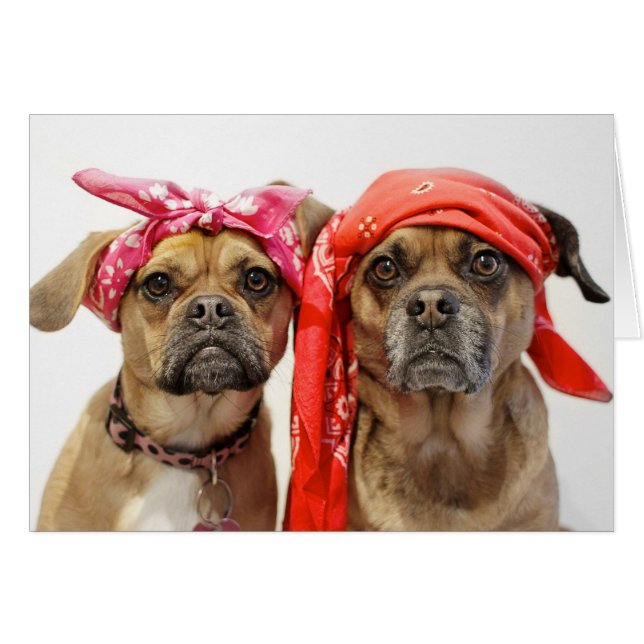 Thuggles (Front Horizontal)