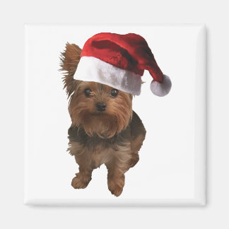 thumbnail_Santa Hat Yorkie Magnet