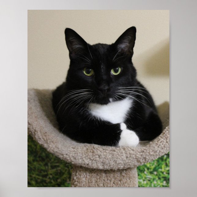 Thumbs up poster (Front)