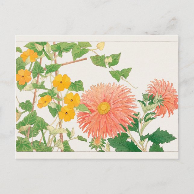 Thunbergia, China aster by Tanigami Konan Postcard (Front)