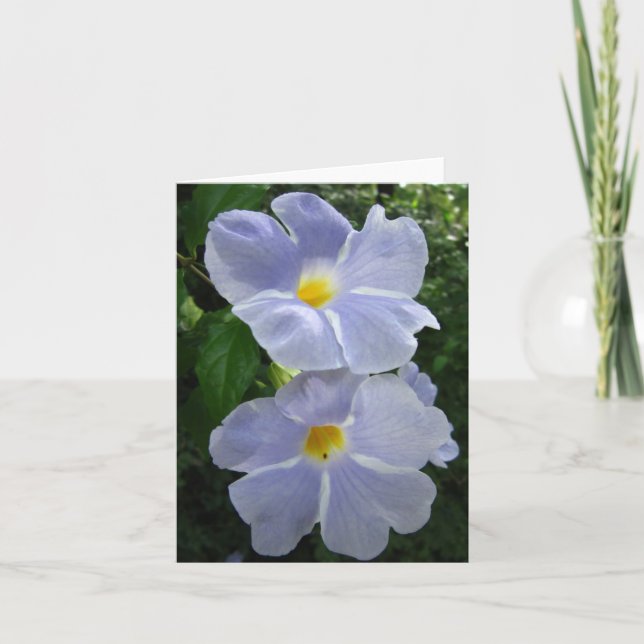 Thunbergia Fairy Moon Photo Folded Note Card (Front)