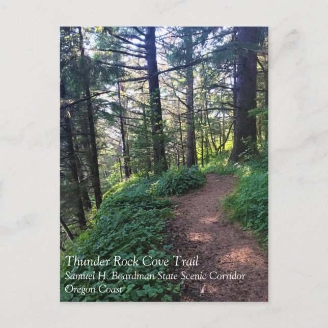 Thunder Rock Cove Trail, Samuel H Boardman, Oregon Postcard (Front)