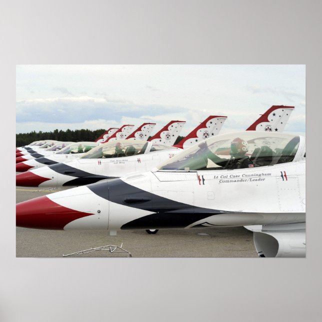 Thunderbirds Flight Demonstration Team Poster (Front)