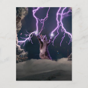 Thunderbolted cat postcard