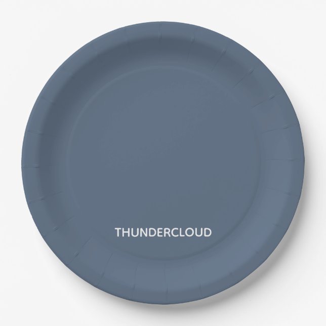 Thundercloud Blue-grey Colour Name Paper Plate (Front)