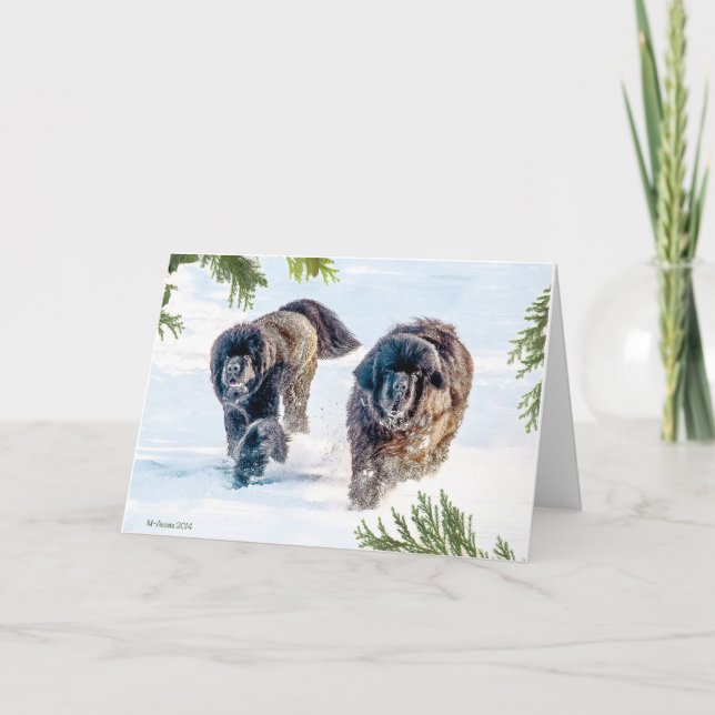 Thundering Into the New Year! Holiday Card (Front)