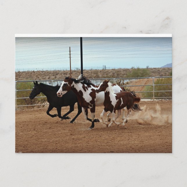 Thundering Spirits Postcard (Front)