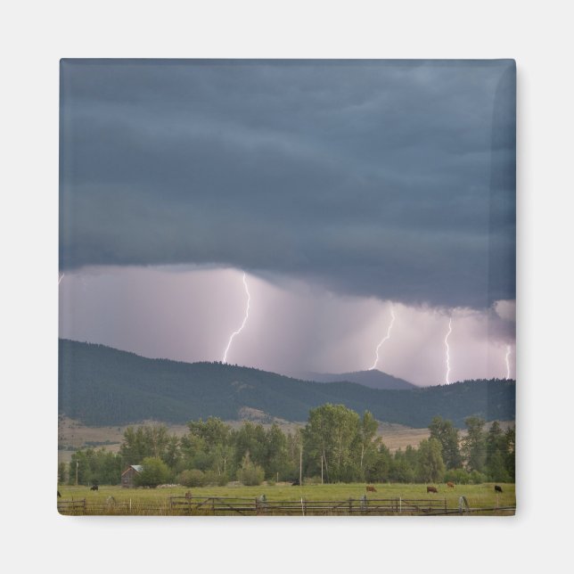 Thunderstorm produced lightning in the Jocko Magnet (Front)