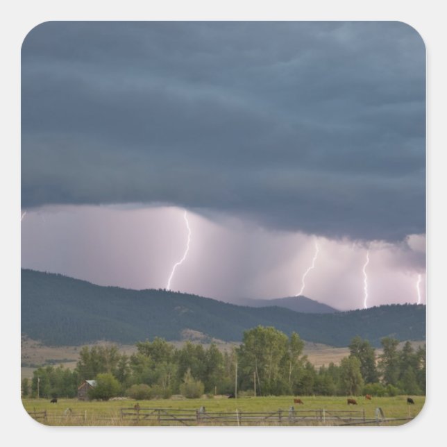 Thunderstorm produced lightning in the Jocko Square Sticker (Front)