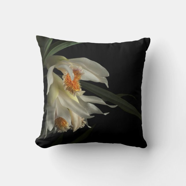 Thunia Marshalliana Cushion (Front)
