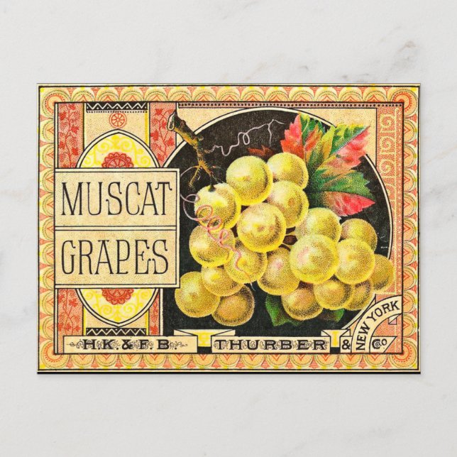 Thurber Muscat Grapes - Vintage Crate Label Postcard (Front)