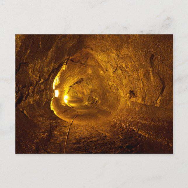 Thurston Lava Tube Hawaii Volcanoes National Park Postcard (Front)