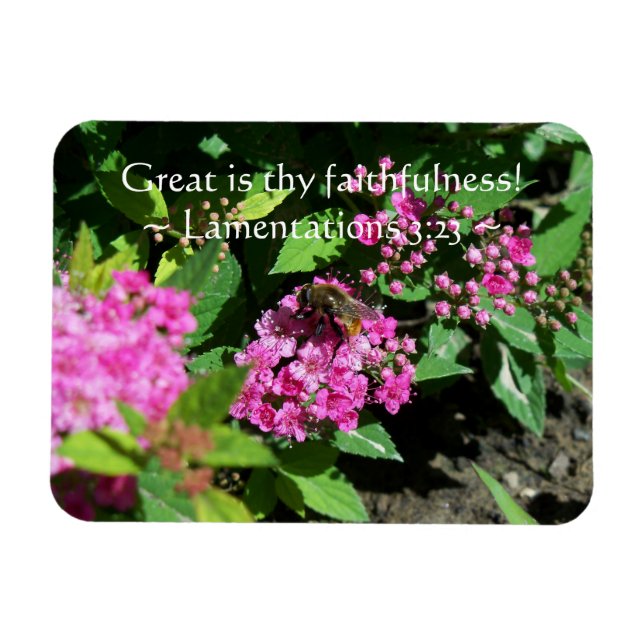 Thy Faithfulness Magnet (Horizontal)