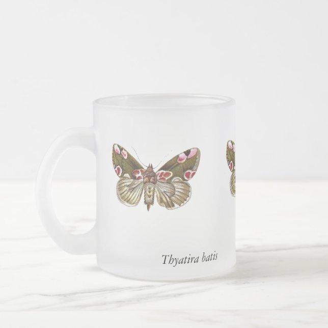 Thyatira batis - The Peach Blossom Moth Frosted Glass Coffee Mug (Left)