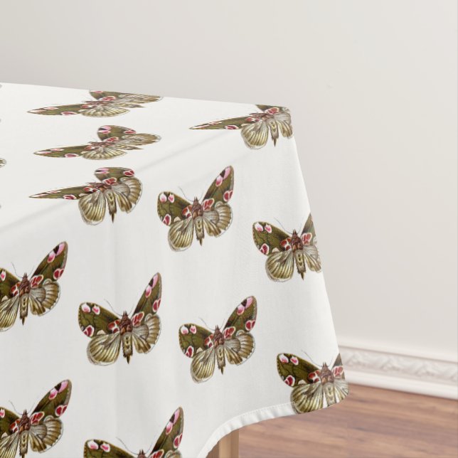 Thyatira batis - The Peach Blossom Moth Tablecloth (In Situ)