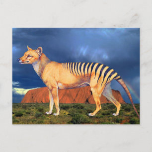 Thylacine (Tasmanian Tiger) Postcard