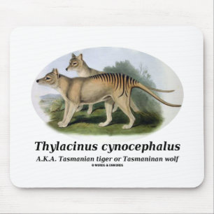 Thylacinus cynocephalus (Tasmanian tiger or wolf) Mouse Mat