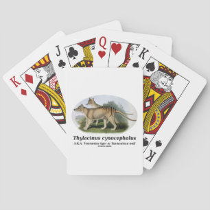 Thylacinus cynocephalus (Tasmanian tiger or wolf) Playing Cards
