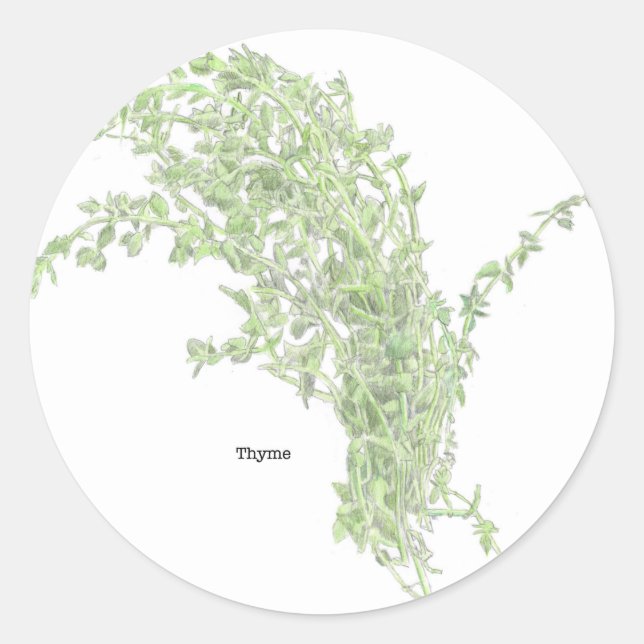 Thyme Drawing Classic Round Sticker (Front)