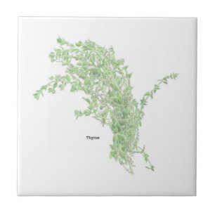 Thyme Drawing Tile