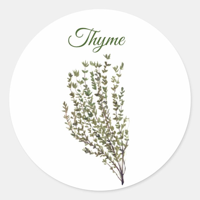 Thyme Herb Greenery Kitchen Culinary Green Plant  Classic Round Sticker (Front)