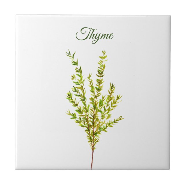 Thyme Herb Greenery Kitchen Culinary Green Plant Tile (Front)