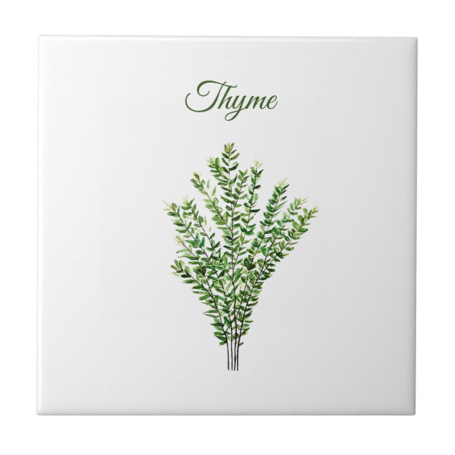 Thyme Herb Greenery Kitchen Culinary Green Plant Tile (Front)
