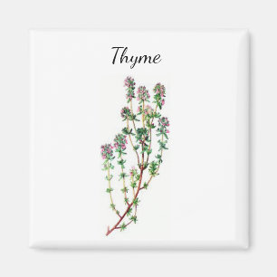 Thyme Herb Magnet