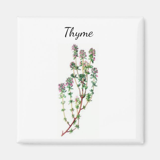 Thyme Herb Magnet (Front)