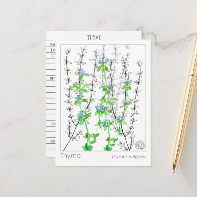 Thyme Herb Materia Medica Cards Herbal Study (Front/Back In Situ)